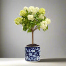 Snowball Artificial Plant in Plum Blossom Pot - BlueJay Avenue