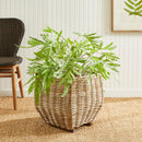 Sylvie Rattan Planter Basket with Clear Plastic Liner - BlueJay Avenue