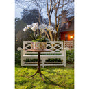 Tobacco Leaf Quatrefoil Indoor Planter - BlueJay Avenue