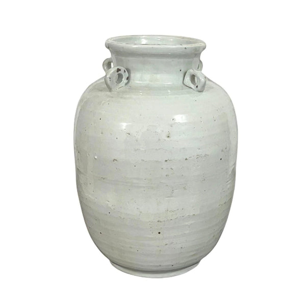 Decorative Vases: Glass Vase & Ceramic Vase For Every Home
