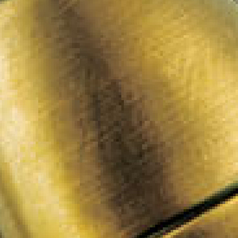 Watson Gold Floor and Table Lamp in Brass - Set of 2 - BlueJay Avenue