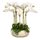 White Artificial Orchid Flower in Beige Planter - BlueJay Avenue