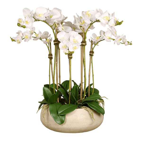 White Artificial Orchid Flower in Beige Planter - BlueJay Avenue