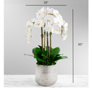 White Orchid Faux Floral Arrangement in Silver Vase - 30" - BlueJay Avenue