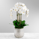 White Orchid Faux Floral Arrangement in Silver Vase - 30" - BlueJay Avenue