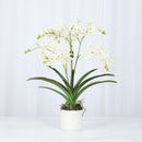 White Vanda Faux Orchid Arrangement in Vase – 24" - BlueJay Avenue