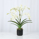 White Vanda Faux Orchid Arrangement in Vase – 24" - BlueJay Avenue