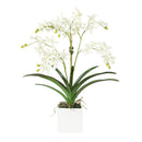 White Vanda Faux Orchid Arrangement in Vase – 24" - BlueJay Avenue