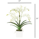 White Vanda Faux Orchid Arrangement in Vase – 24" - BlueJay Avenue