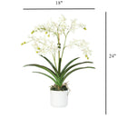 White Vanda Faux Orchid Arrangement in Vase – 24" - BlueJay Avenue