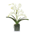 White Vanda Faux Orchid Arrangement in Vase – 24" - BlueJay Avenue