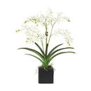 White Vanda Faux Orchid Arrangement in Vase – 24" - BlueJay Avenue