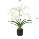 White Vanda Faux Orchid Arrangement in Vase – 24" - BlueJay Avenue