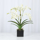 White Vanda Faux Orchid Arrangement in Vase – 24" - BlueJay Avenue