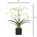 White Vanda Faux Orchid Arrangement in Vase – 24" - BlueJay Avenue