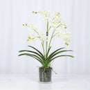 White Vanda Faux Orchid Arrangement in Vase – 24" - BlueJay Avenue