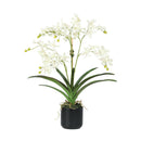 White Vanda Faux Orchid Arrangement in Vase – 24" - BlueJay Avenue