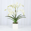 White Vanda Faux Orchid Arrangement in Vase – 24" - BlueJay Avenue