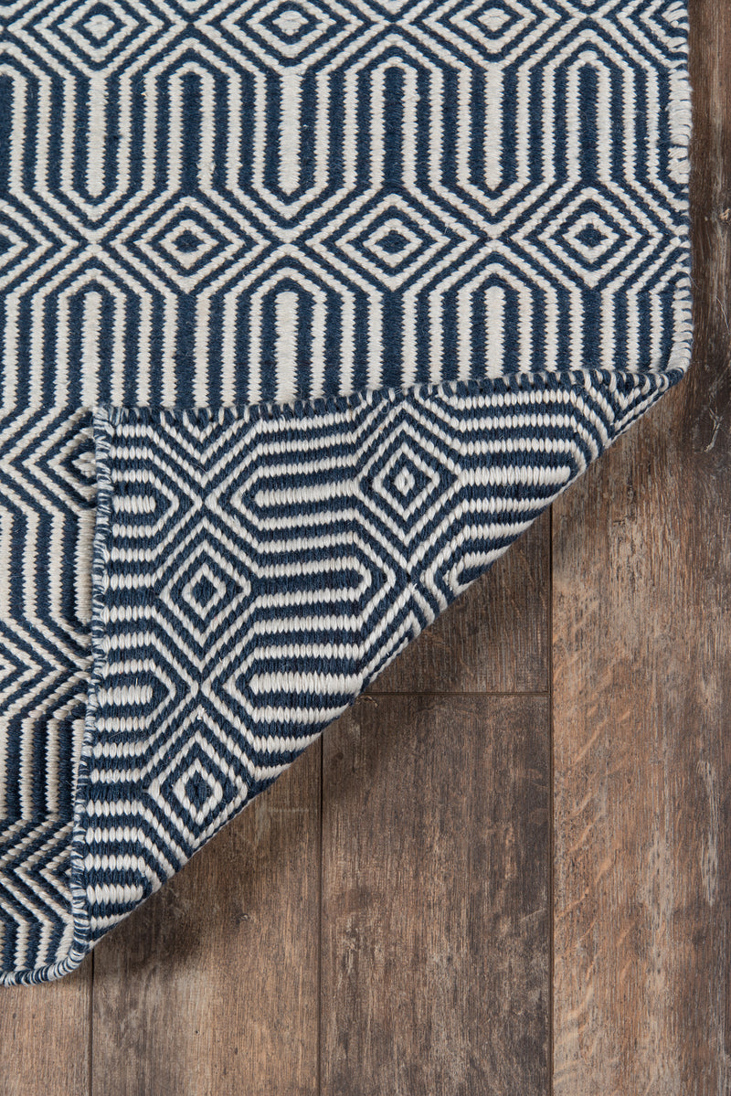 Newton Hand Woven Recycled Indoor Outdoor Rug  - BlueJay Avenue