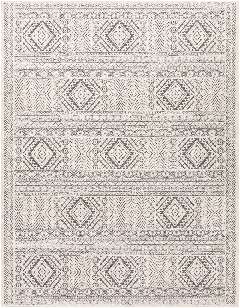 Adana Medium Gray Rug - BlueJay Avenue