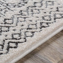 Adana Medium Gray Rug - BlueJay Avenue