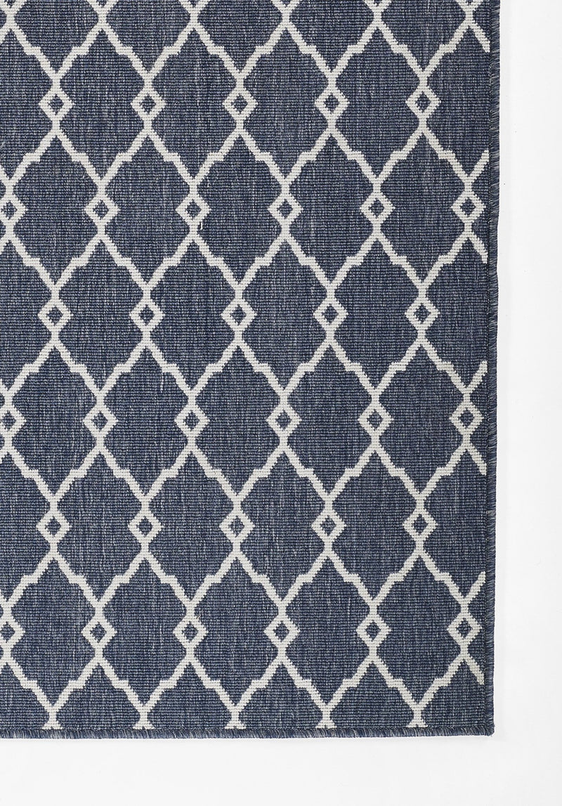 Alma Outdoor Rug - BlueJay Avenue