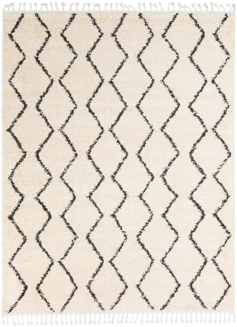 Berber Shag Rug - BlueJay Avenue