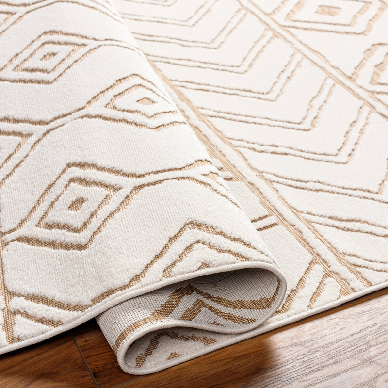 Berta Outdoor Rug - BlueJay Avenue