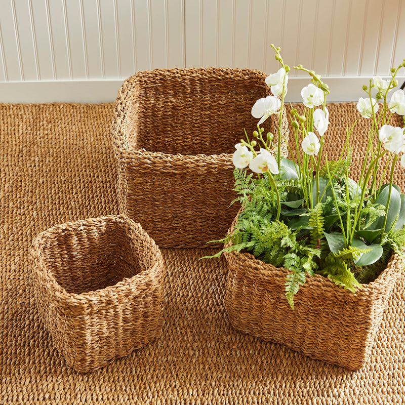 Cala Baskets, Set of 3 - BlueJay Avenue