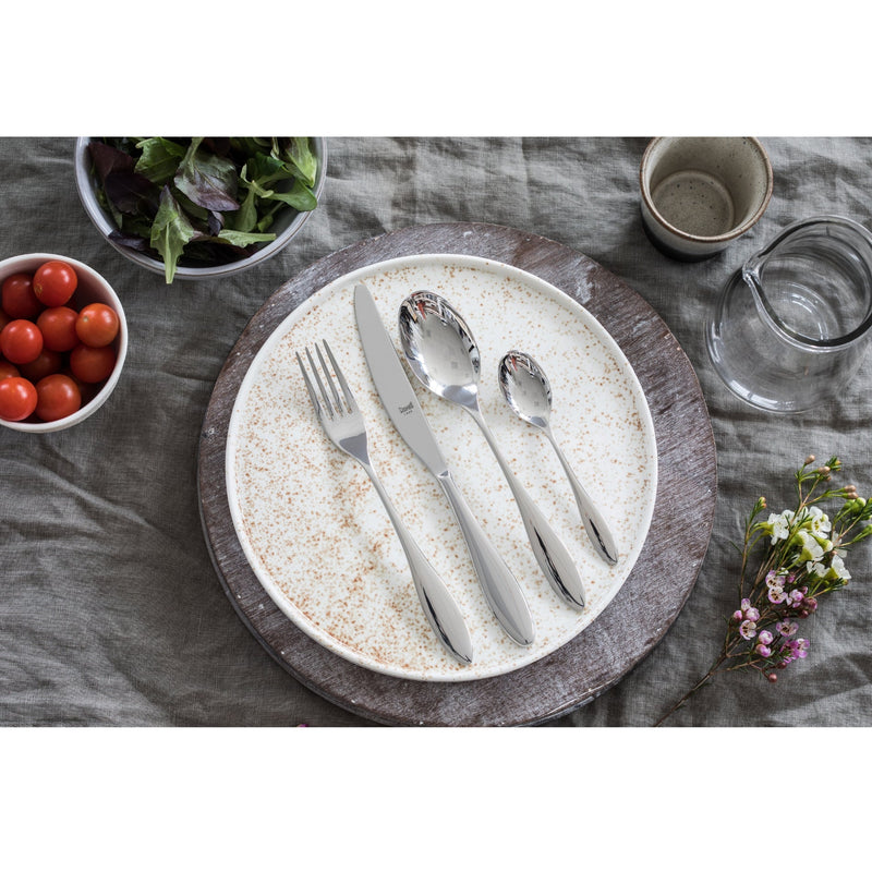 Carinzia Cutlery 20 pc Set - BlueJay Avenue