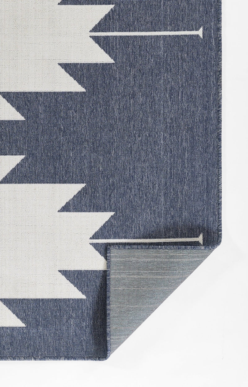 Carmen Outdoor Rug - BlueJay Avenue