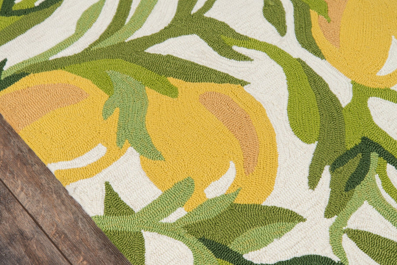 Clarisa Outdoor Rug - BlueJay Avenue