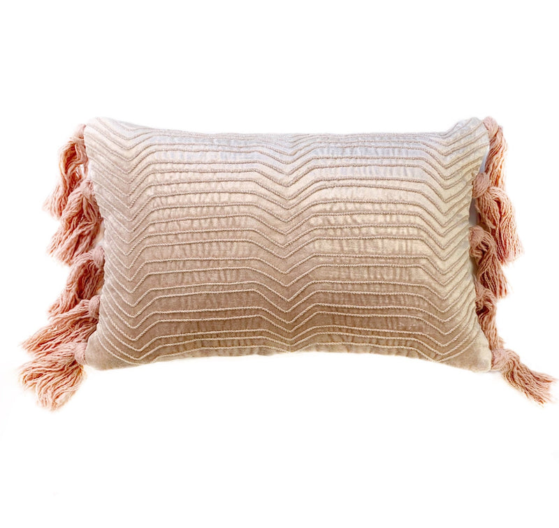 https://www.bluejayavenue.com/cdn/shop/products/cord-embroidered-viscose-velvet-pillow-cover-with-insert-blush-pink-460982_800x.jpg?v=1601766542