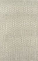 Davis Hand Woven Recycled Plastic Indoor Outdoor Rug - BlueJay Avenue