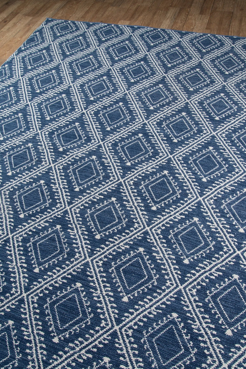 Easton Hand Woven Indoor Outdoor Area Rug - BlueJay Avenue