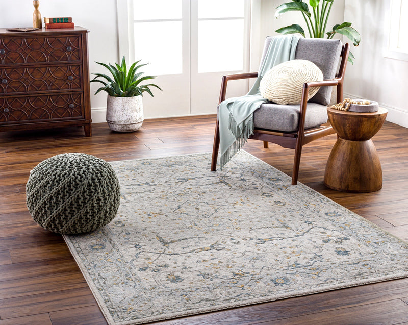 Ecrin Traditional Natural Rug - BlueJay Avenue