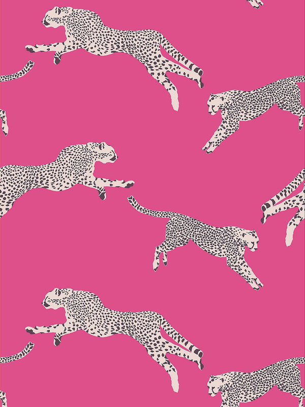 Leaping Cheetah Wallpaper, Bubblegum - BlueJay Avenue