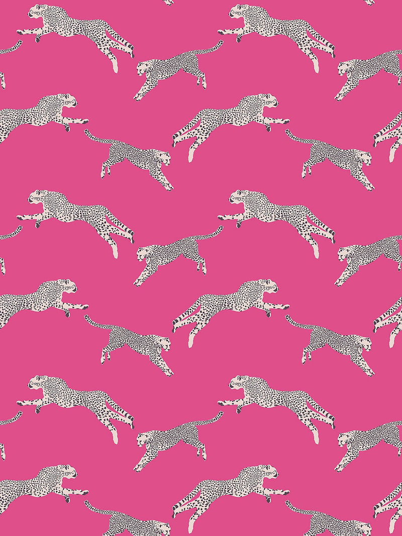 Leaping Cheetah Wallpaper, Bubblegum - BlueJay Avenue