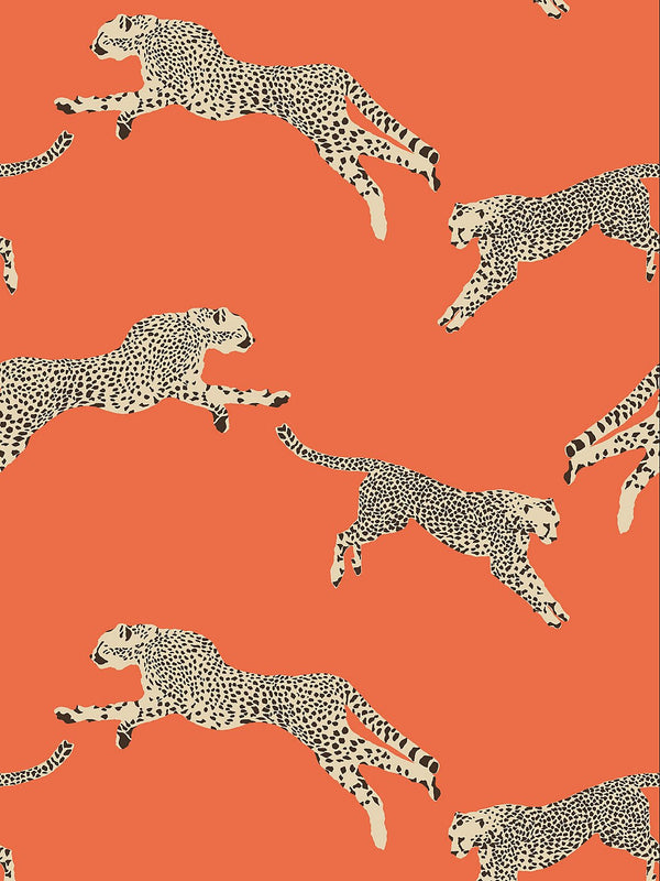 Leaping Cheetah Wallpaper, Clementine - BlueJay Avenue