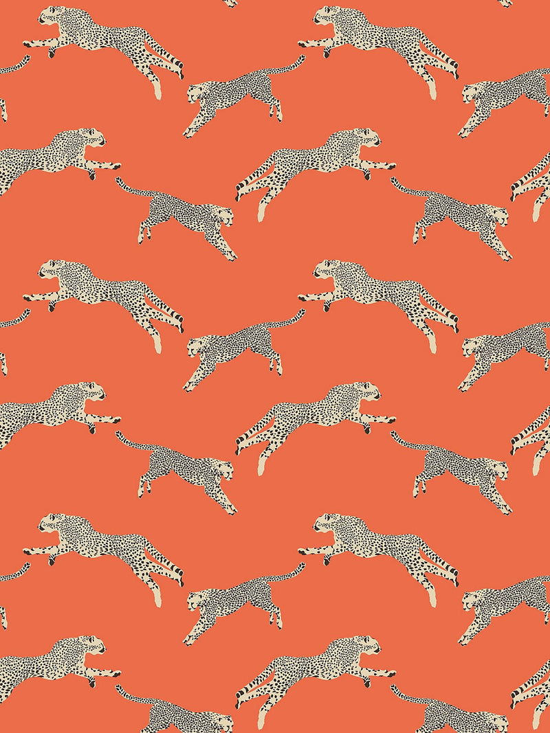 Leaping Cheetah Wallpaper, Clementine - BlueJay Avenue