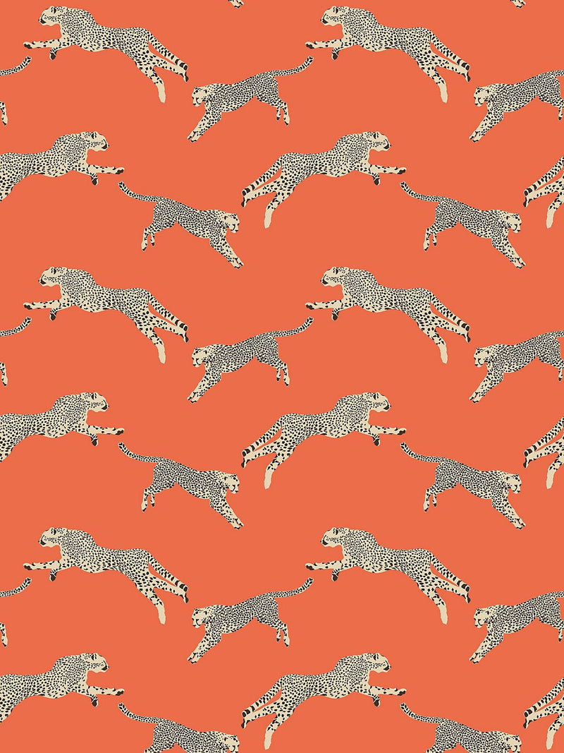Leaping Cheetah Wallpaper, Clementine - BlueJay Avenue