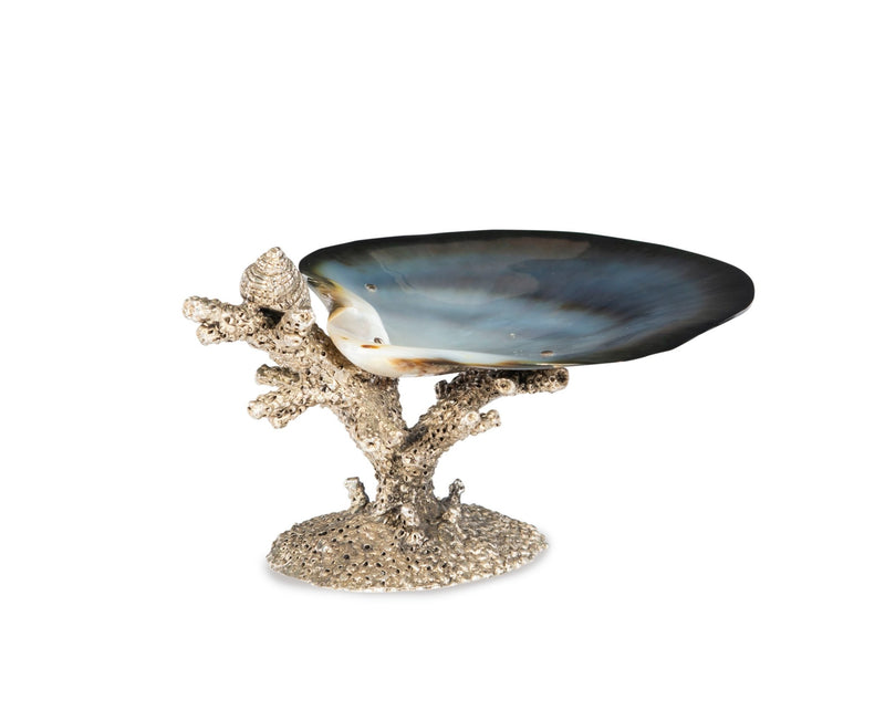 Oswell Shell Dish Decorative Accent - BlueJay Avenue