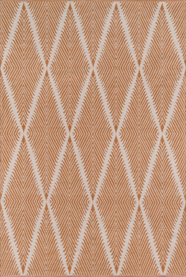 River Orange Indoor Outdoor Area Rug - BlueJay Avenue
