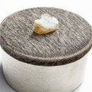 Windsor Container - BlueJay Avenue