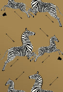 Zebras Wallpaper, Gold - BlueJay Avenue