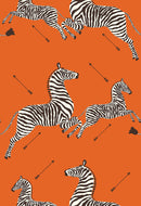 Zebras Wallpaper, Orange - BlueJay Avenue